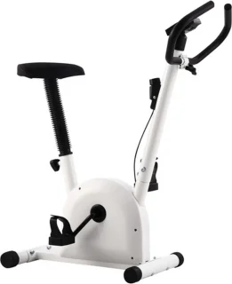 vidaXL Hometrainer wit bandweerstand