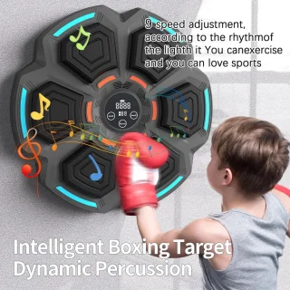 Wandgemonteerde Bluetooth Boksmachine