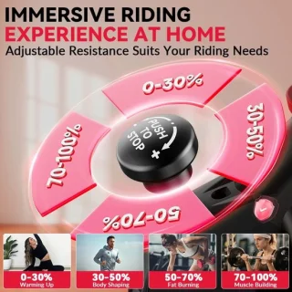 Wentink Mo Hometrainer