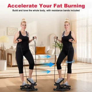Wentink Mo Swing Mini Stepper