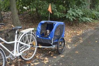 Opvouwbare Hondenfietskar met Reflectoren en Regenhoes - Fietsaanhanger voor Honden tot 40 KG