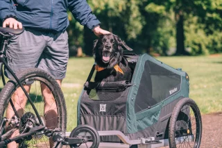 Burley Bark Ranger Fietskar Zwart Blauw