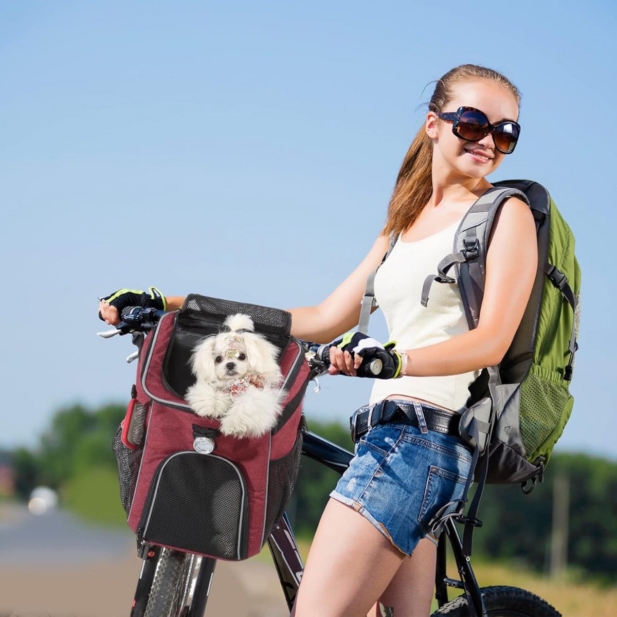 CLGP Hondenfietsmand voor Elektrische Fiets Fietsman Kleine Hond
