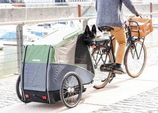Croozer Bruuno XXL Hondenfietskar