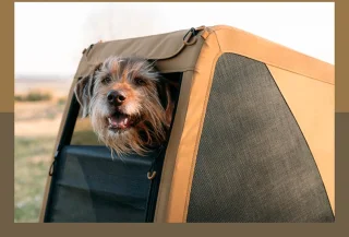 Croozer Dog Mikke XL Hondenfietskar Zonsonderganggeel