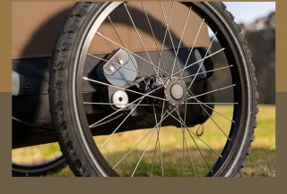 Croozer Dog Mikke XL Hondenfietskar Zonsonderganggeel