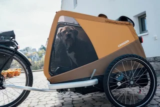 Croozer Dog Tammo Hondenfietskar XXL
