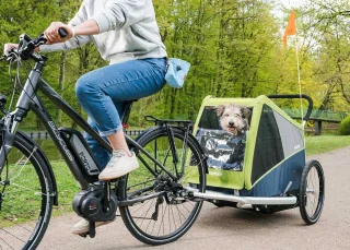 Croozer Jokke Hondenfietskar XL