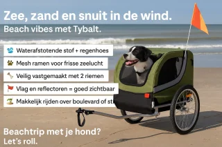 Flamingo Tybalt Fietskar Groen