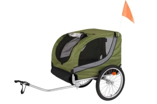 Flamingo Tybalt Fietskar Groen