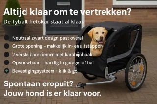 Flamingo Tybalt Fietskar Zwart
