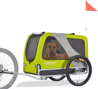 Grote hondenfietskar - groen/zwart