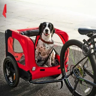 Hondenfietskar - Hondenbuggy