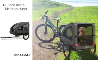 Conclusie