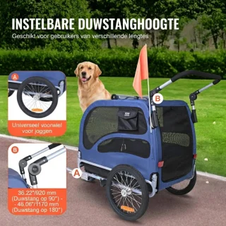 Conclusie