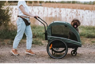 Petrive ACTIVE ONE Hondenfietstrailer Dark Green