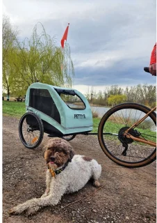 Petrive ACTIVE ONE Hondenfietstrailer - Groen