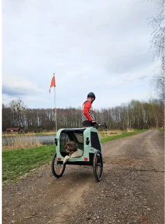 Petrive ACTIVE ONE Hondenfietstrailer - Groen