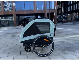 Petrive ACTIVE ONE Hondenfietstrailer - Groen
