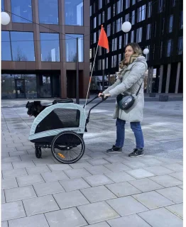 Petrive ACTIVE ONE Hondenfietstrailer - Groen
