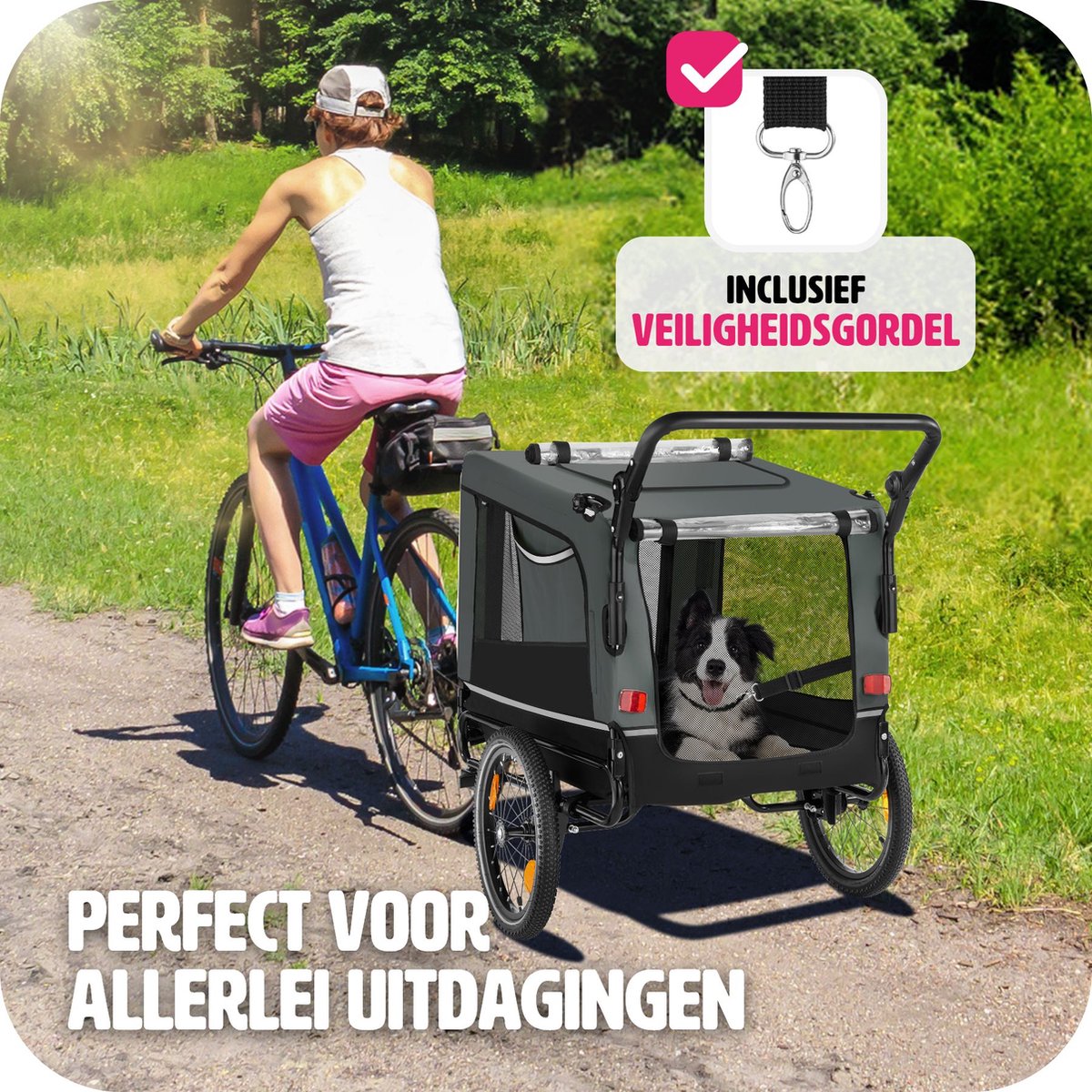 tectake Hondenfietskar 3-in-1 Grijs 40kg
