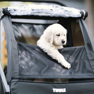 Thule Courier Dog Trailer Kit Black One-Size