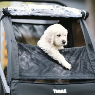 Thule Courier Dog Trailer Kit Black One-Size