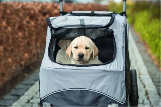 Trixie Hondenfietskar Opvouwbaar Grijs 103x74x95 cm