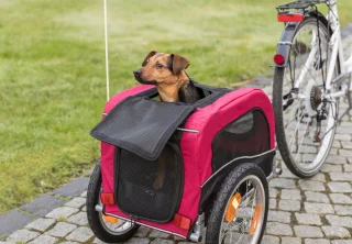 Trixie Hondenfietskar S Zwart Rood voor Kleine Honden <15 kg
