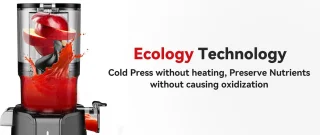 LINKchef Slow Juicer Sapcentrifuge - Verticale sapcentrifuge zonder voorbereiding - met No-Prep 4.35"Feed Chute - Geschikt voor hele vruchten en groenten - Eenvoudig te installeren-Gemakkelijk schoon te maken - 1.2L Capaciteit, 200w, zwart