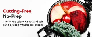 LINKchef Slow Juicer Sapcentrifuge - Verticale sapcentrifuge zonder voorbereiding - met No-Prep 4.35"Feed Chute - Geschikt voor hele vruchten en groenten - Eenvoudig te installeren-Gemakkelijk schoon te maken - 1.2L Capaciteit, 200w, zwart