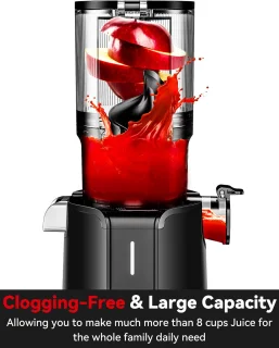 LINKchef Slow Juicer Sapcentrifuge - Verticale sapcentrifuge zonder voorbereiding - met No-Prep 4.35"Feed Chute - Geschikt voor hele vruchten en groenten - Eenvoudig te installeren-Gemakkelijk schoon te maken - 1.2L Capaciteit, 200w, zwart