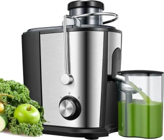 Professionele Juicers - Sapcentrifuge voor Groenten & Fruit - Juicer Met 0.65 L Sapbeker en Pulpreservoir - 2 Snelheden - 600W - RVS / Zwart