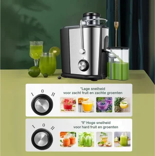 Professionele Juicers - Sapcentrifuge voor Groenten & Fruit - Juicer Met 0.65 L Sapbeker en Pulpreservoir - 2 Snelheden - 600W - RVS / Zwart