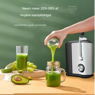 Professionele Juicers - Sapcentrifuge voor Groenten & Fruit - Juicer Met 0.65 L Sapbeker en Pulpreservoir - 2 Snelheden - 600W - RVS / Zwart