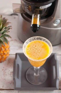 Slowjuicer - Voor Groente- en Fruitsap - Horizontale Slow juicer - duurzaam