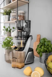 4SWISS Slow Juicer Swan BM105 Platinium Silver, Aantrekkelijk ontwerp, 400 W, 32 tpm, Reverse-functie, XXL-opening