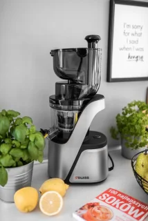 4SWISS Slow Juicer Swan BM105 Platinium Silver, Aantrekkelijk ontwerp, 400 W, 32 tpm, Reverse-functie, XXL-opening
