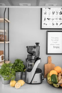 4SWISS Slow Juicer Swan BM105 Platinium Silver, Aantrekkelijk ontwerp, 400 W, 32 tpm, Reverse-functie, XXL-opening