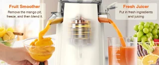 Zasmira Slow Juicer Sapcentrifuge -Sapcentrifuges met grote invoergoot - Powerful Slow Juicer with Pulp Seperation - 99.6% Juice Purity - 1,5L capaciteit, eenvoudig schoon te maken, eenvoudig te installeren - White