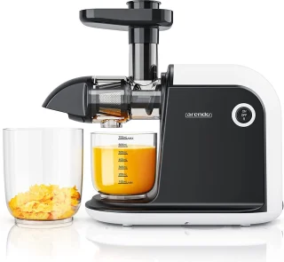 Slowjuicer - Voor Groente- en Fruitsap - Horizontale Slow juicer - duurzaam