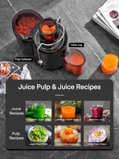 Sapcentrifuge - Slowjuicer - voor Groenten - Fruit - 400W - 65mm Vulopening - 3 Snelheden - Anti-Druppelfunctie - Oververhittingsbeveiliging - RVS - 1.6L - Zwart