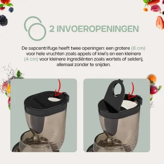 4SWISS Swan BM105 Slowjuicer Rosa Gold
