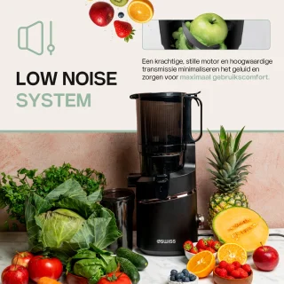 4Swiss WB025 Slowjuicer Graphite