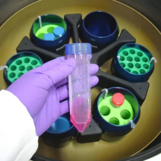 50x 50 ml centrifugebuizen met deksel