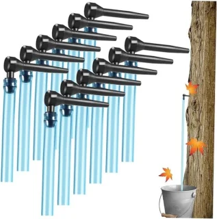 Ahornsiroop kranen - 12 sets - transparant
