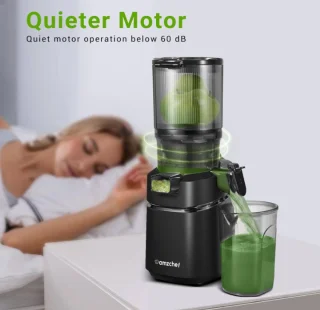 AMZCHEF All-In-One Slow Juicer 1.8L 250W Black