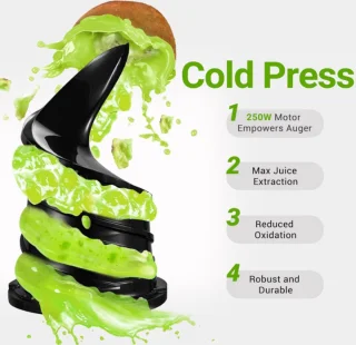 AMZCHEF All-In-One Slow Juicer 1.8L 250W Black