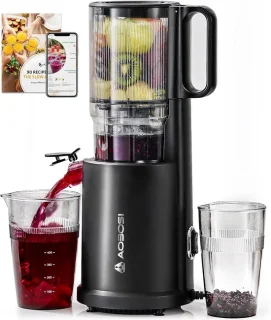 Aobosi ZM1907B Slowjuicer Zwart