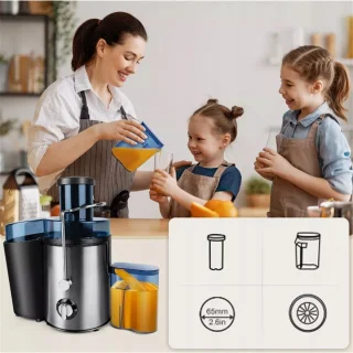 Bedee Slowjuicer 1000W 500ML